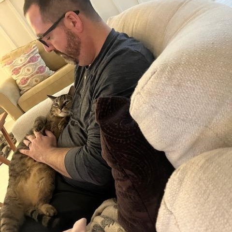 Shadow - Loyal, a ADOPTABLE Tabby in Holland, MI image 5/5