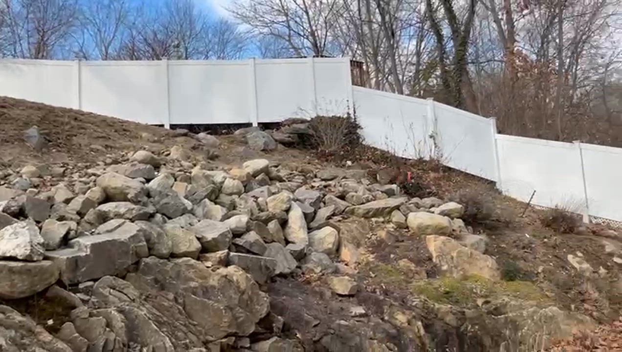 Enlarge Lady/Lola, a Adoptable mixed breed in Greenwich, CT video 5/5