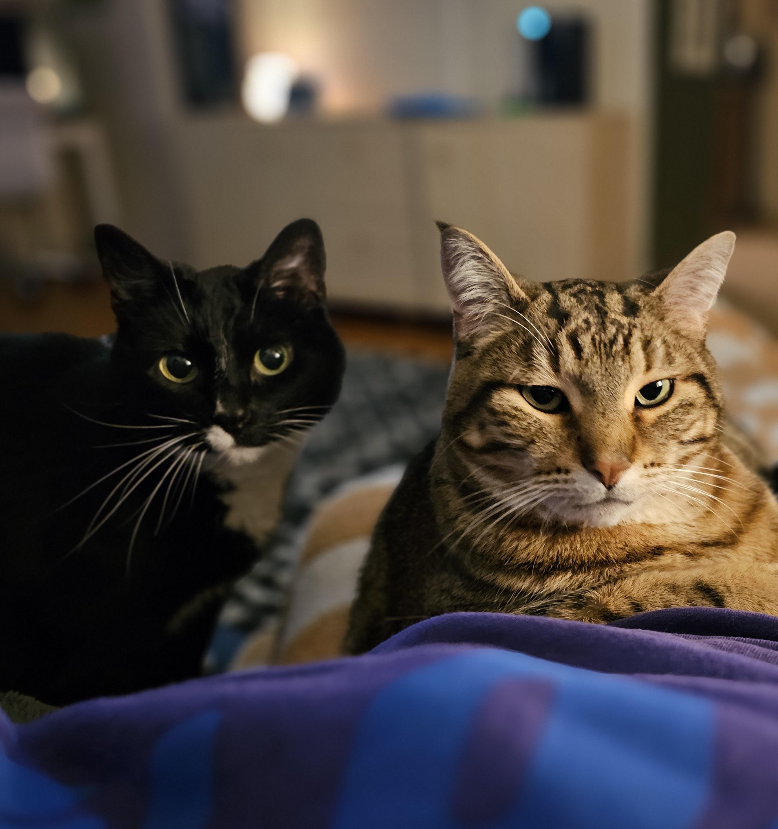 Olive & Milton  *Courtesy Post*