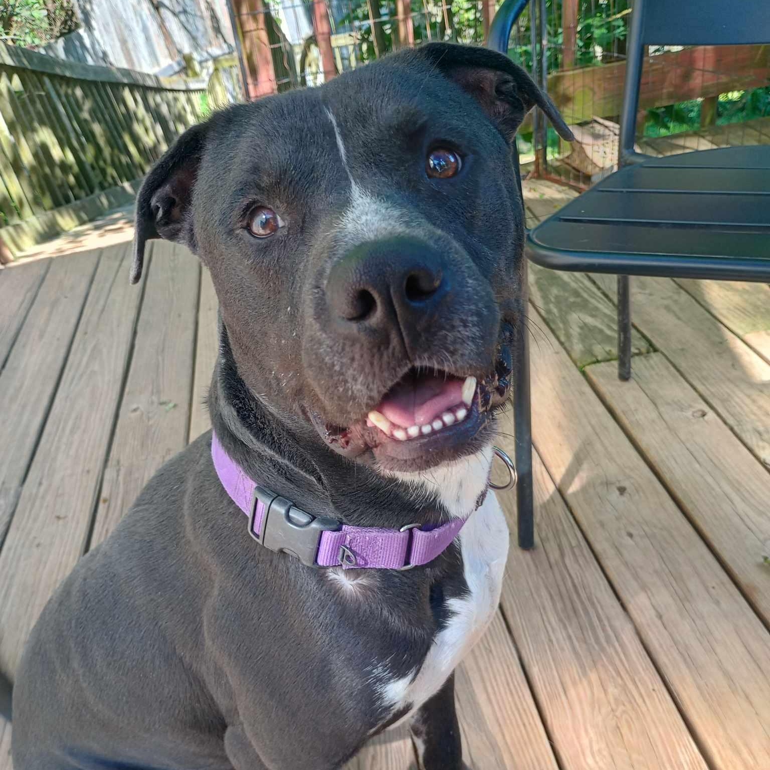 Gilligan