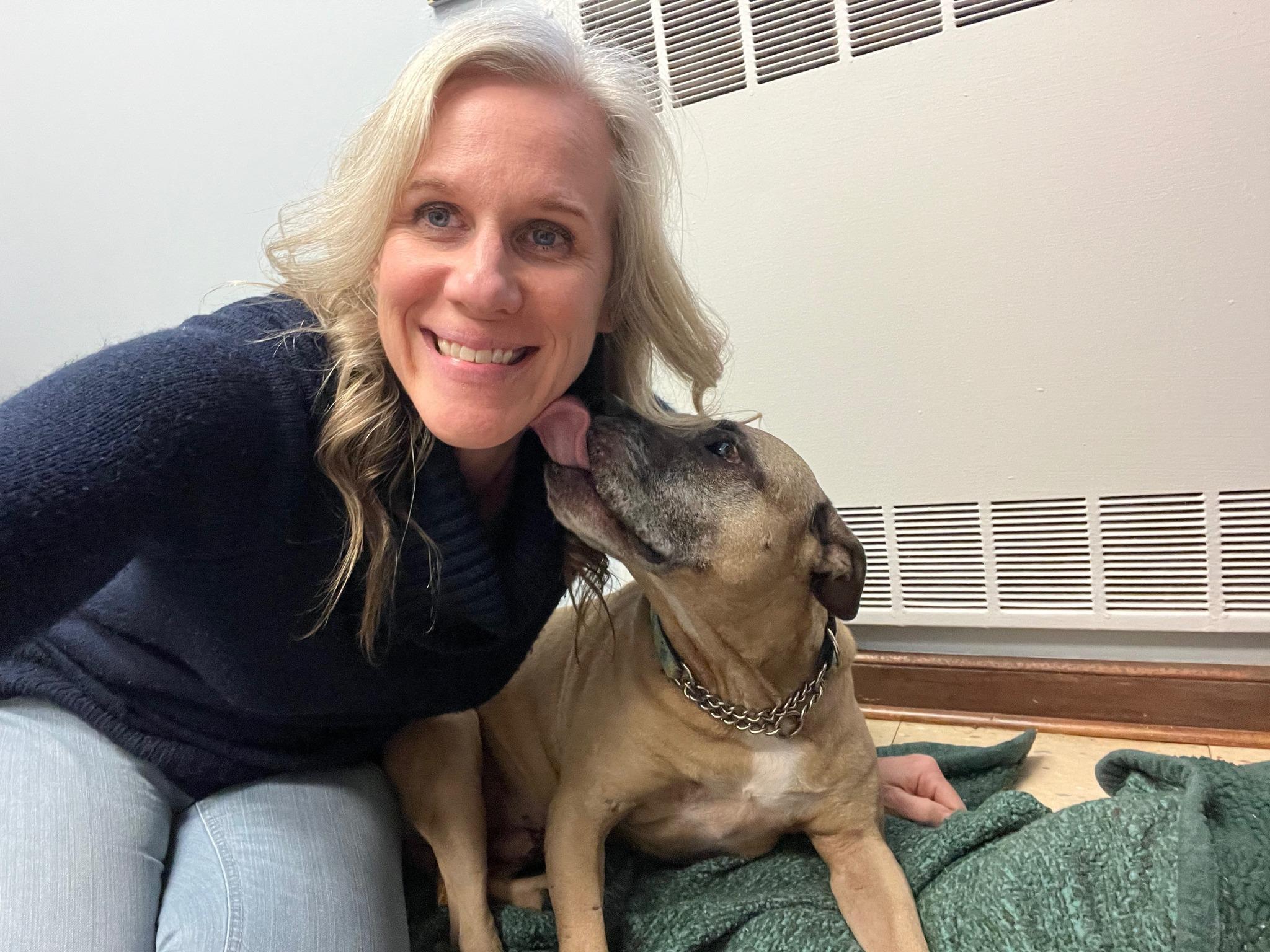 Cake Batter, a Adoptable Pit Bull Terrier in Philadelphia, PA image 4/5
