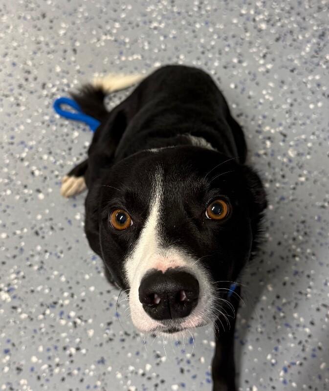 Marty photo