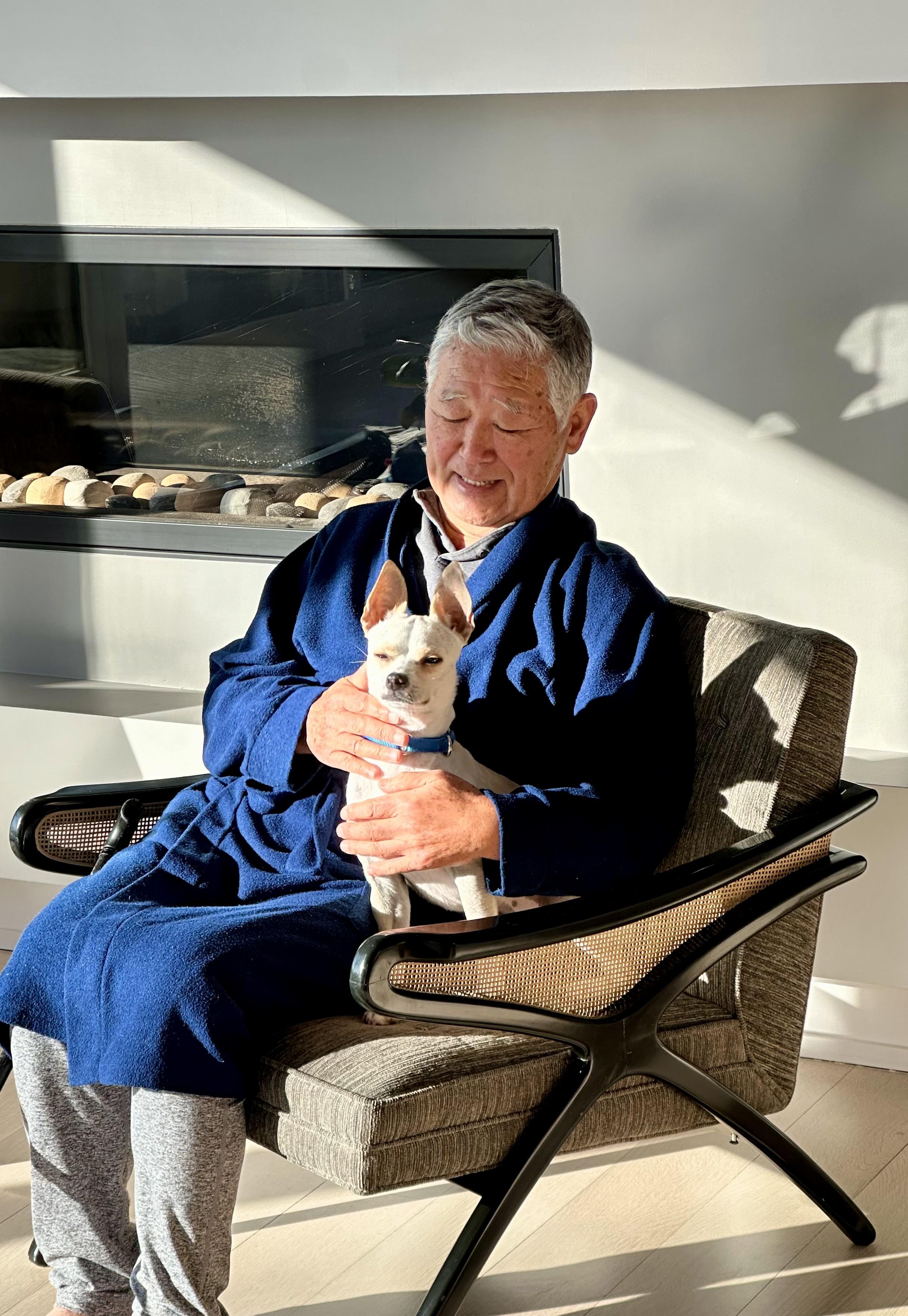 Enlarge Casper, a Adoptable mixed breed in Harrison, NY image 6/6