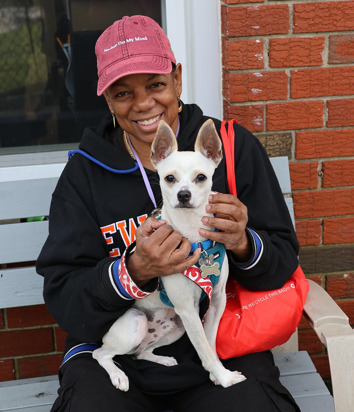 Enlarge Casper, a Adoptable mixed breed in Harrison, NY image 3/6