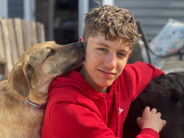 Enlarge Mary - Fostered in Massachusetts, a Adoptable mixed breed in Willington, CT image 6/6