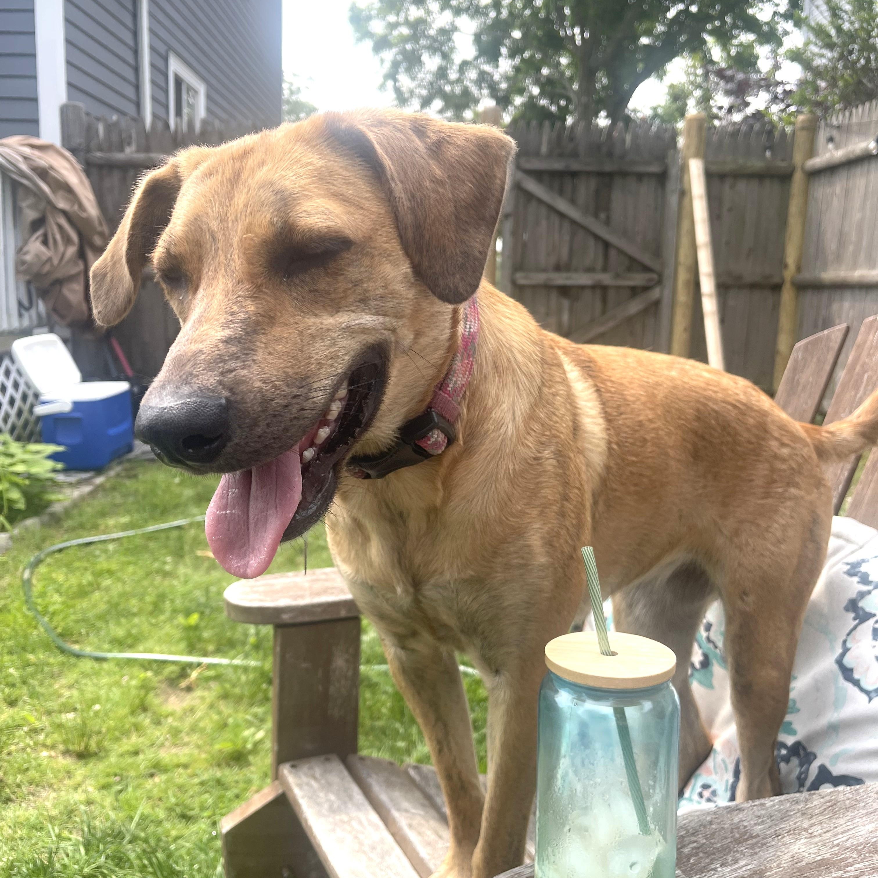 Mary - Fostered in Massachusetts photo 2