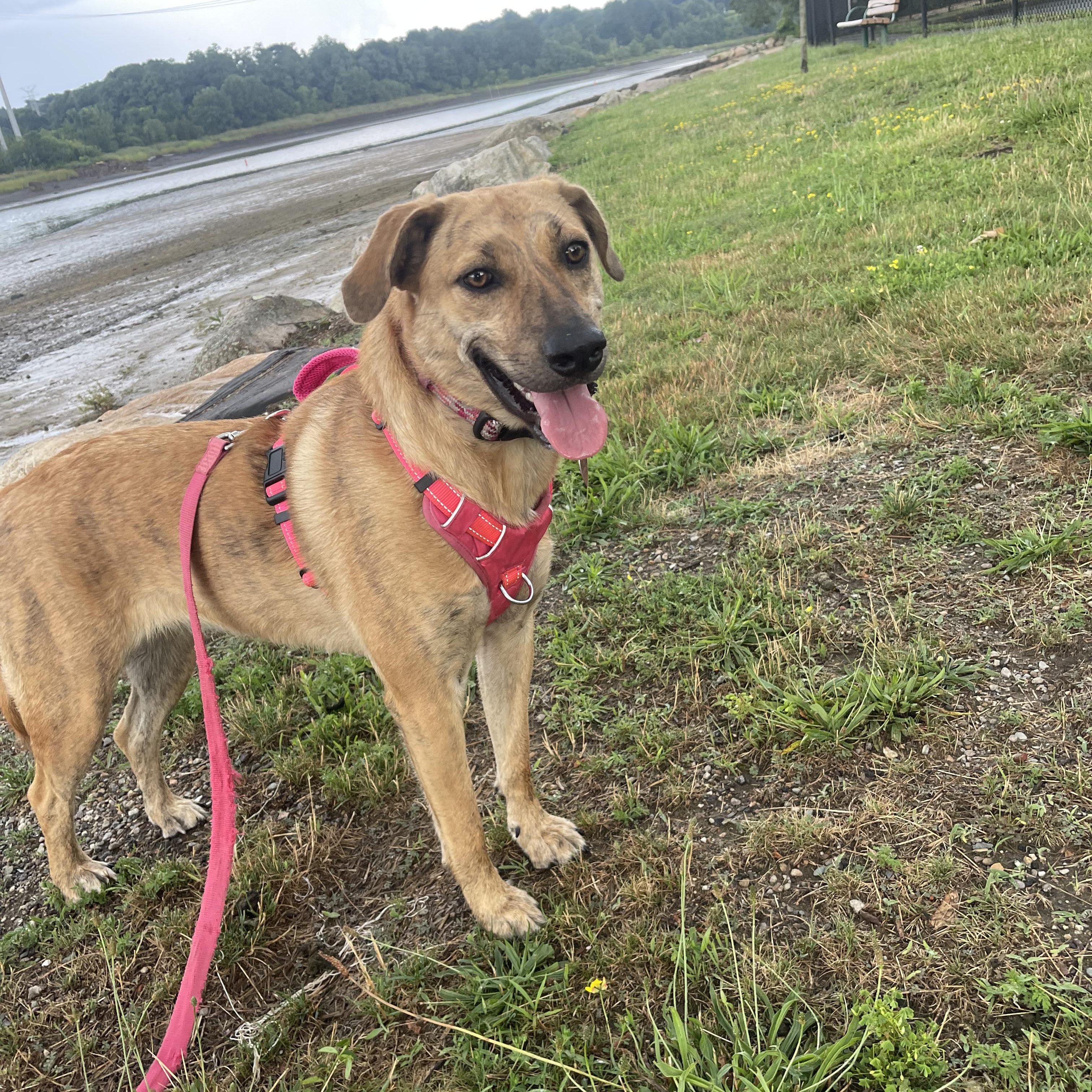 Mary - Fostered in Massachusetts photo 3