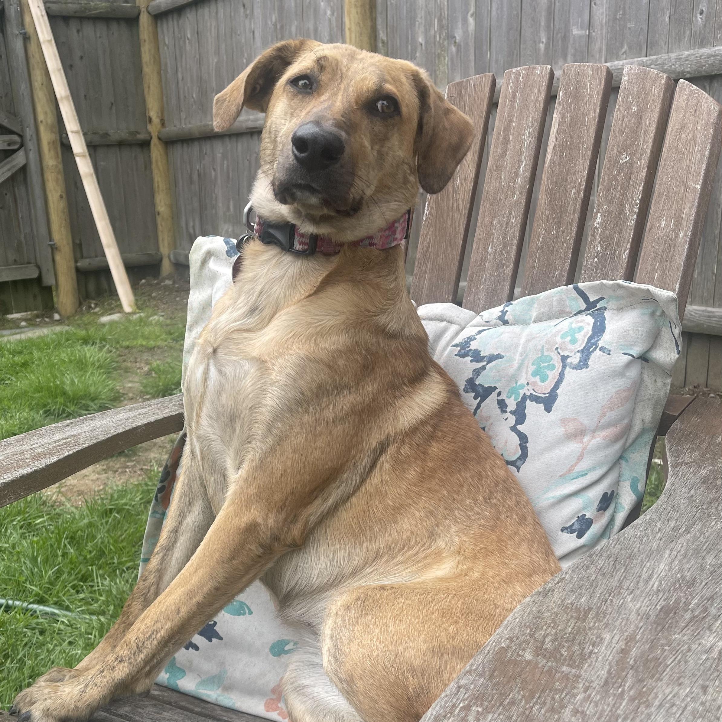 Mary - Fostered in Massachusetts