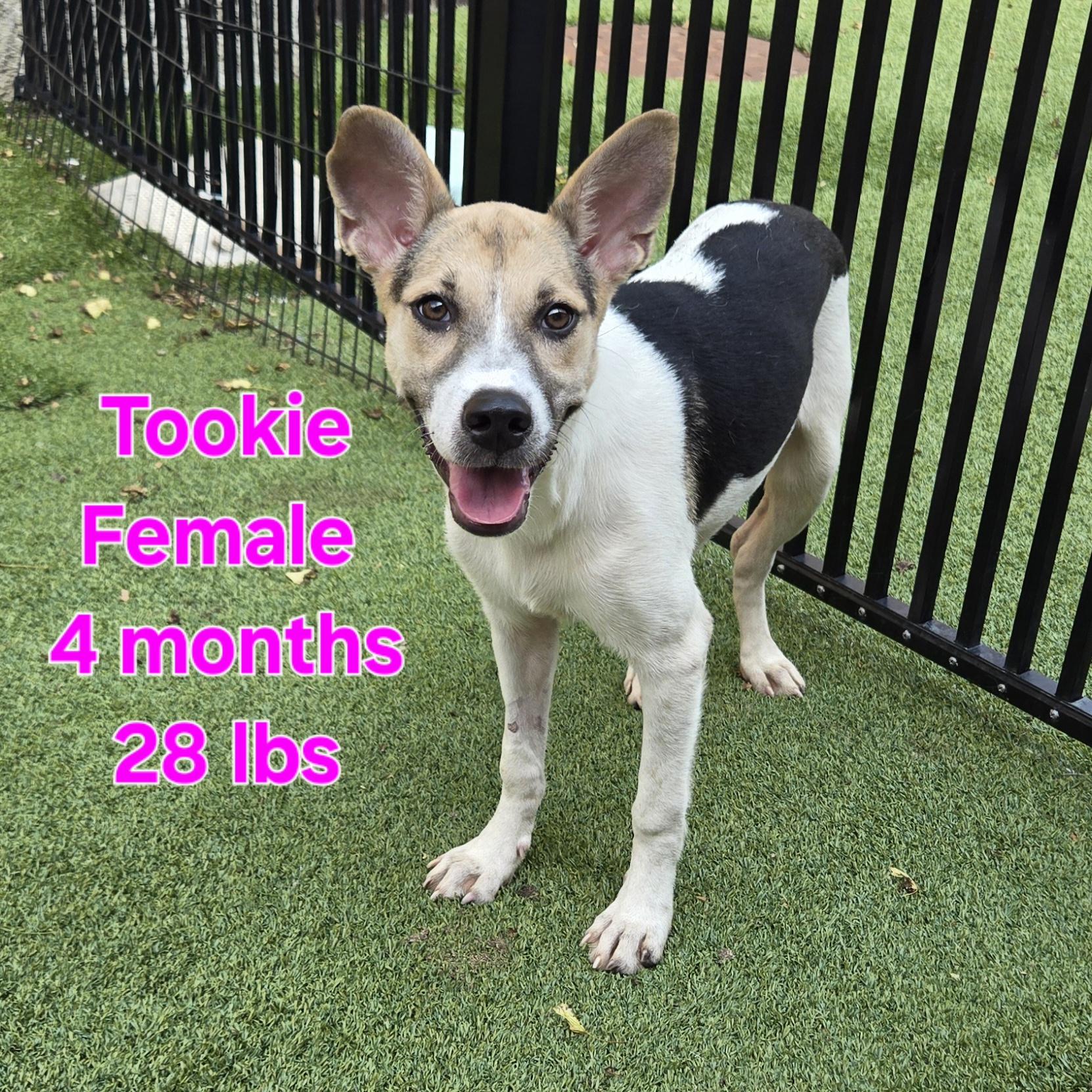 Tookie