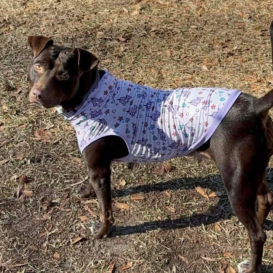 Brandy — thumbnail 2