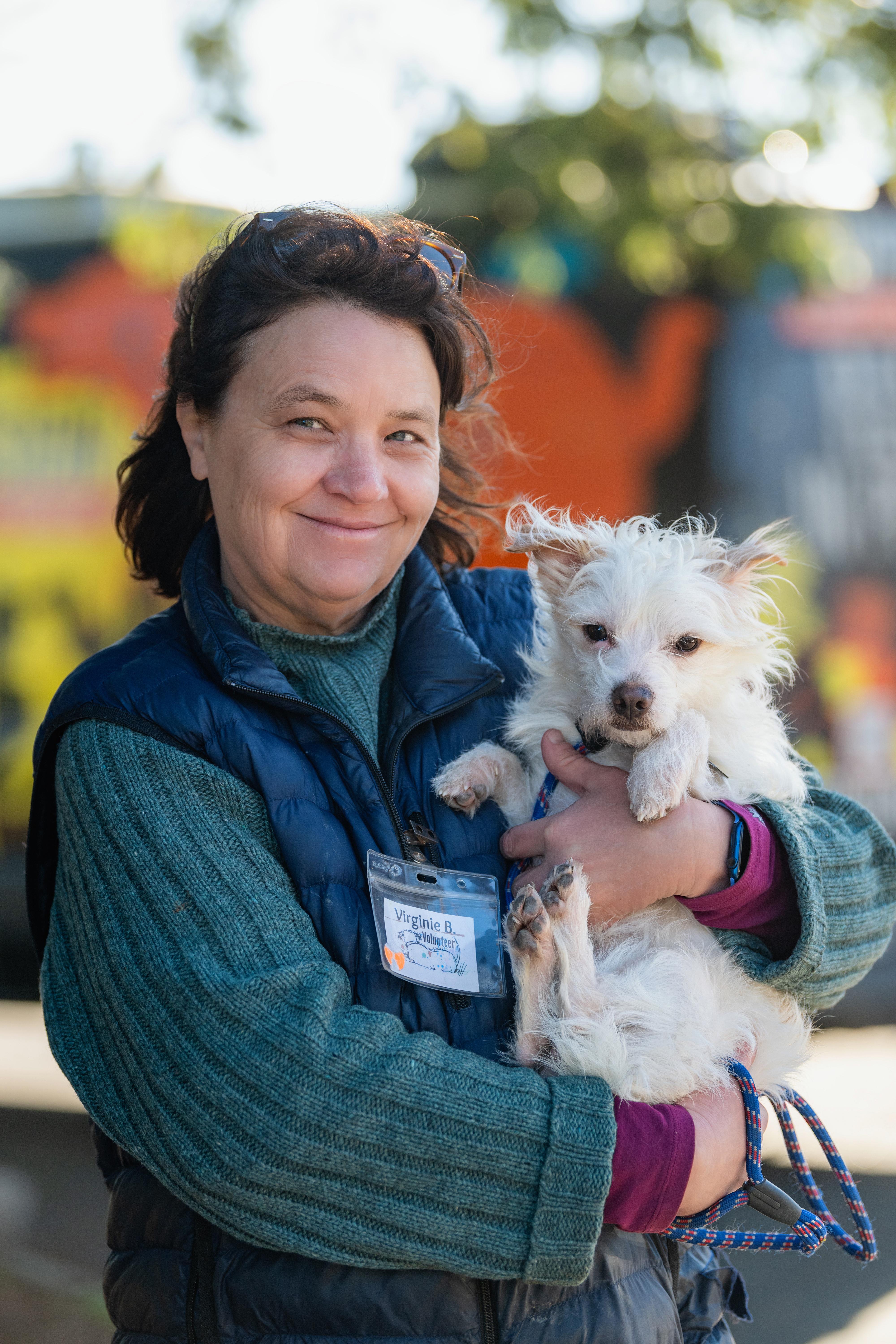 Enlarge Noodle, a ADOPTABLE mixed breed in Santa Rosa, CA image 2/3