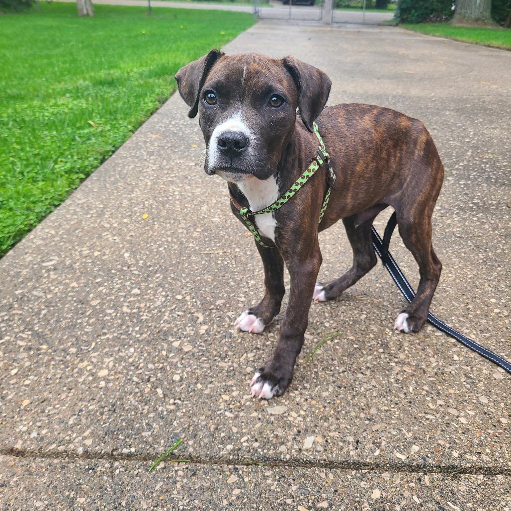 Luigi photo