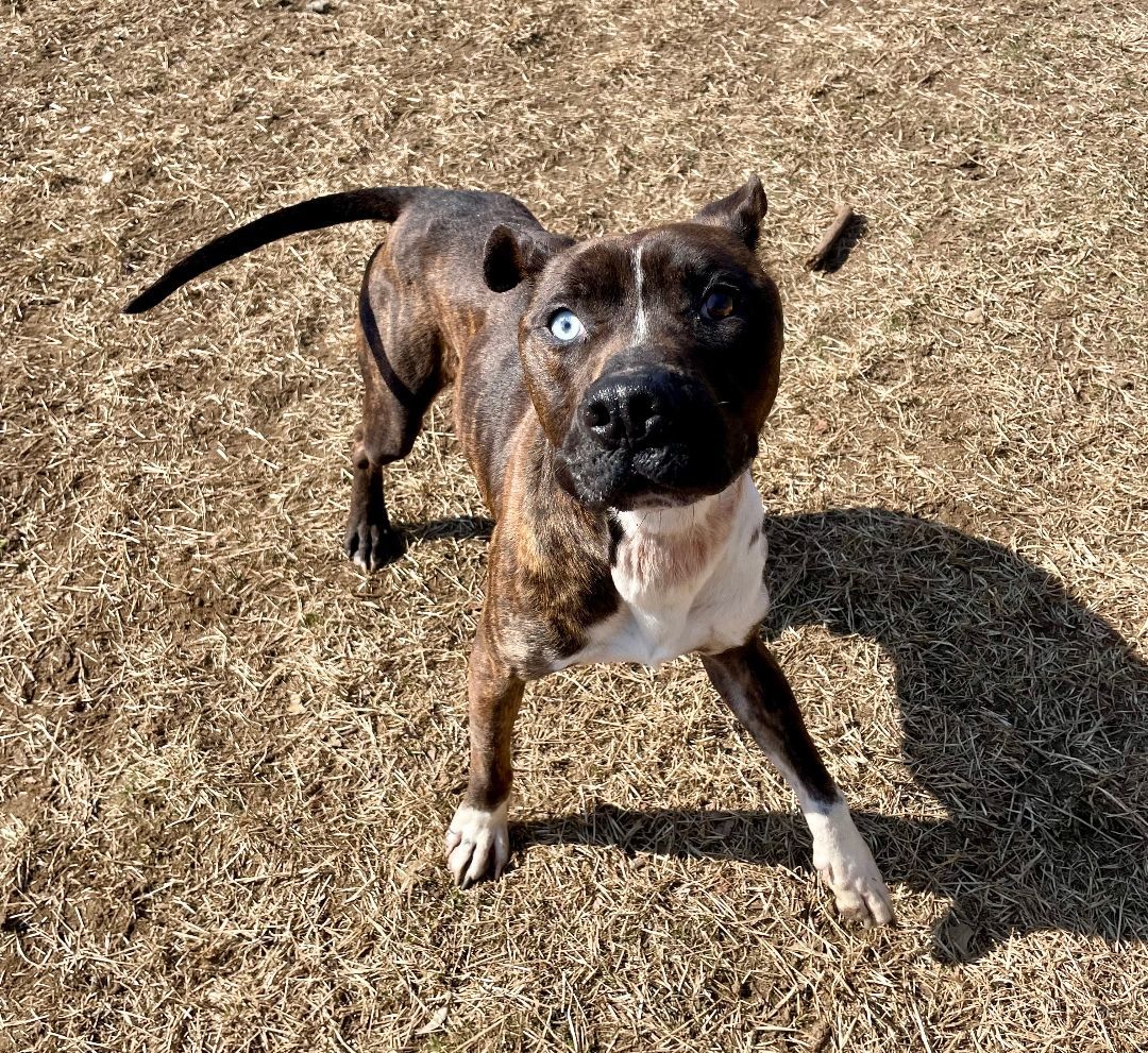 Diego
