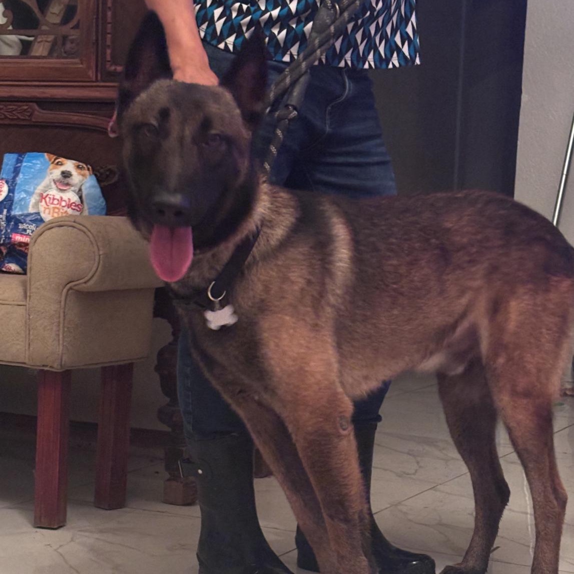 Niko — thumbnail 2