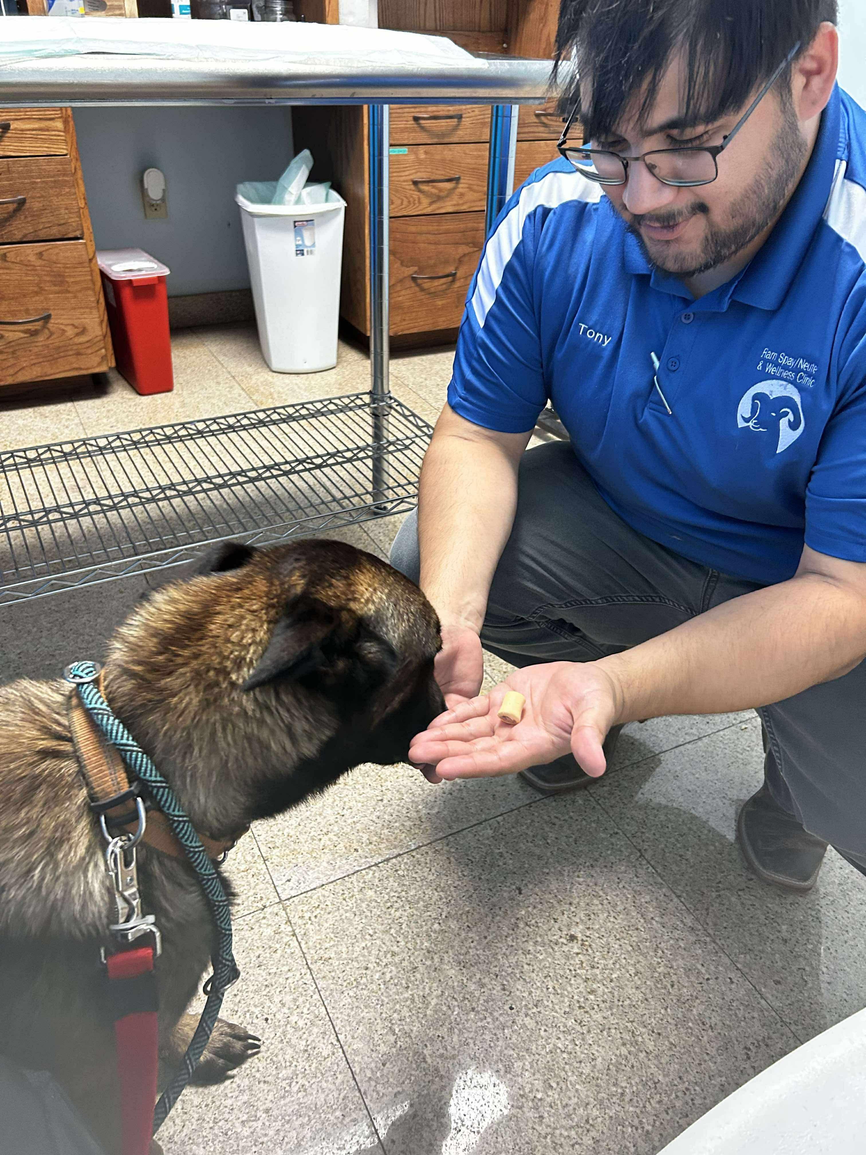 Niko — thumbnail 4