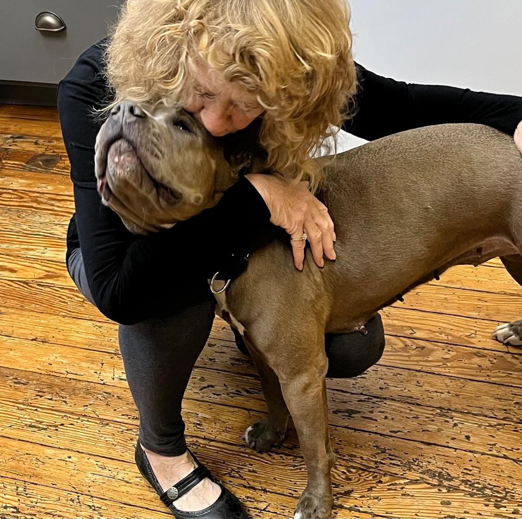 Tilly, a Adoptable mixed breed in Columbia, IL image 1/6