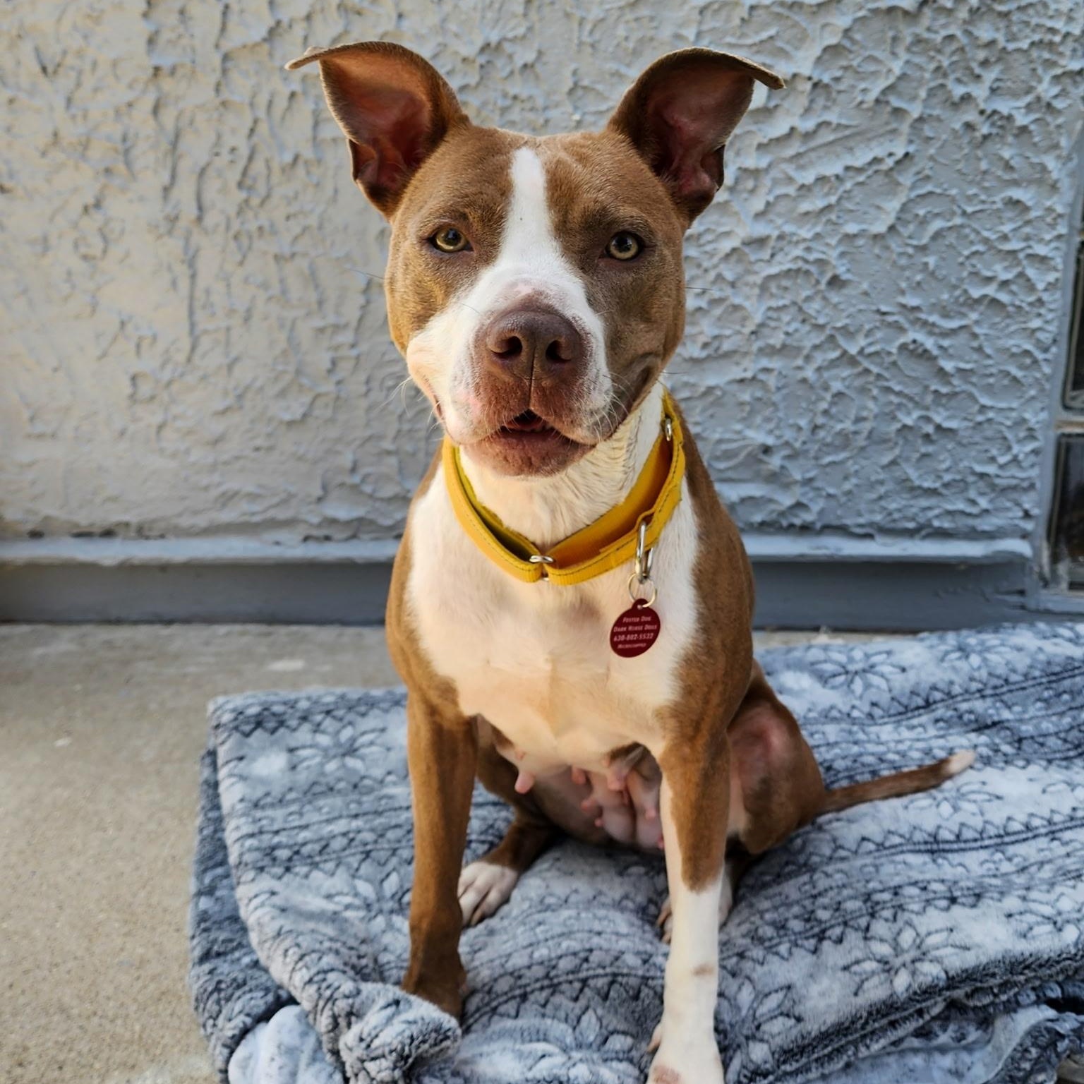 Rosie