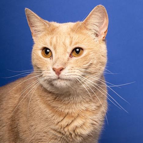 Toast — thumbnail 4