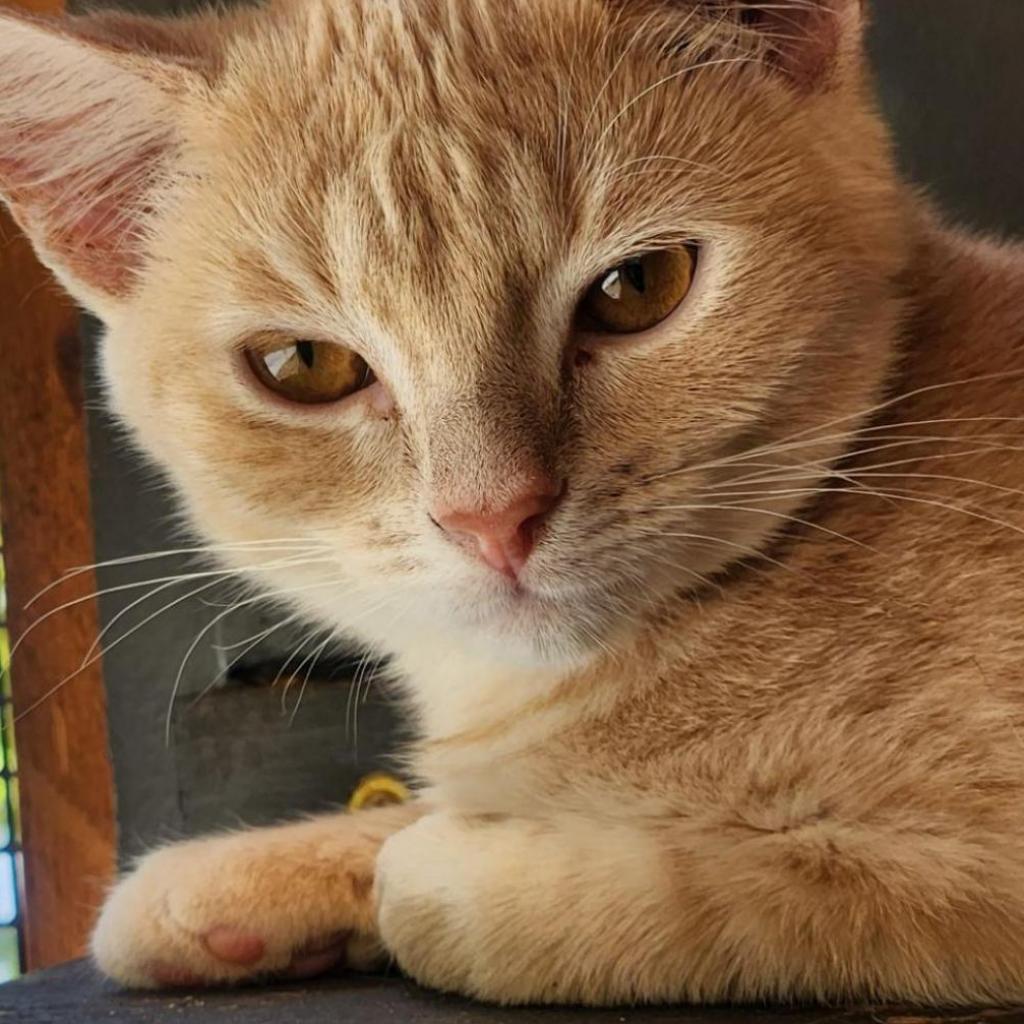 Toast — thumbnail 6