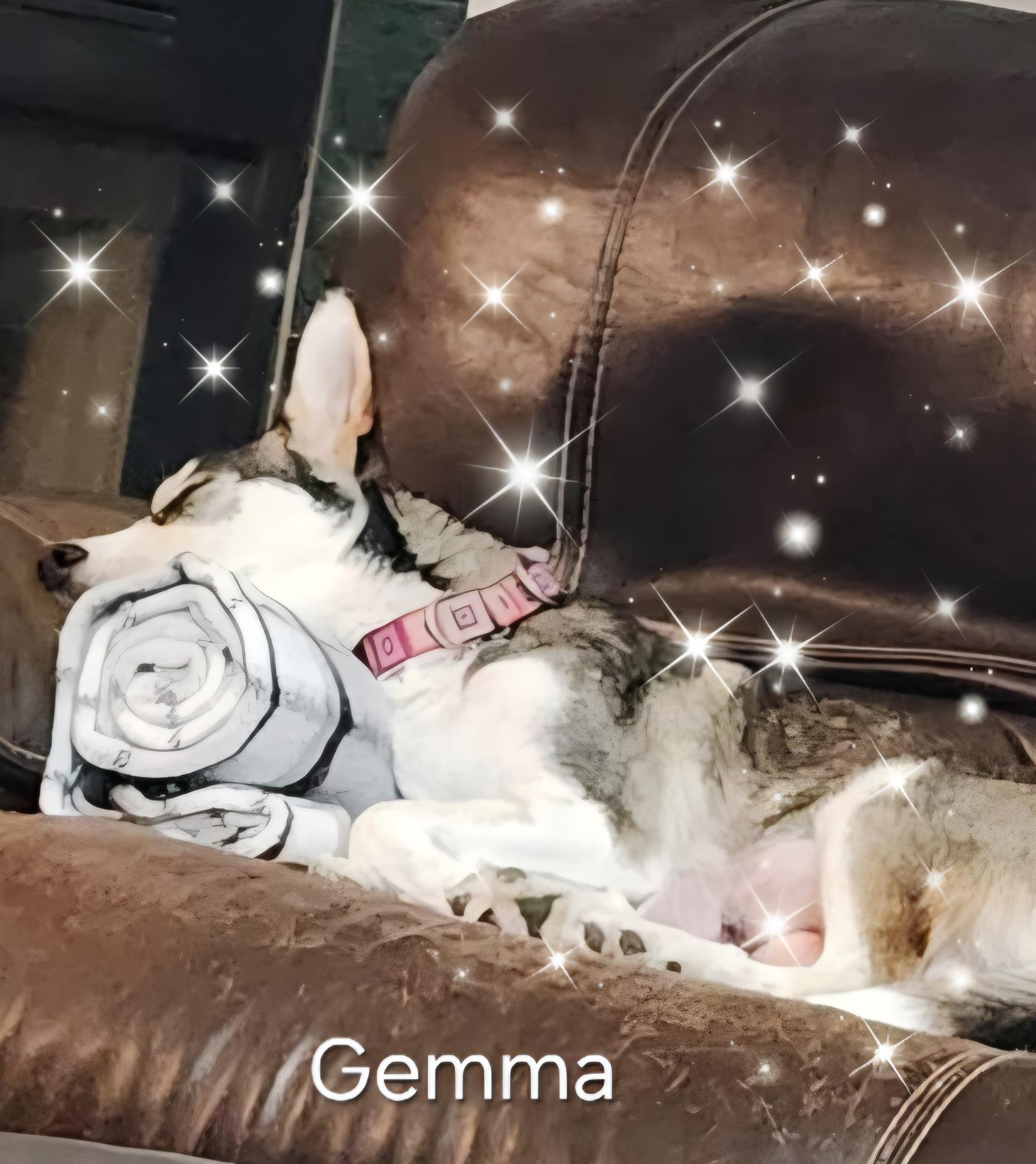 Gemma thumbnail 2