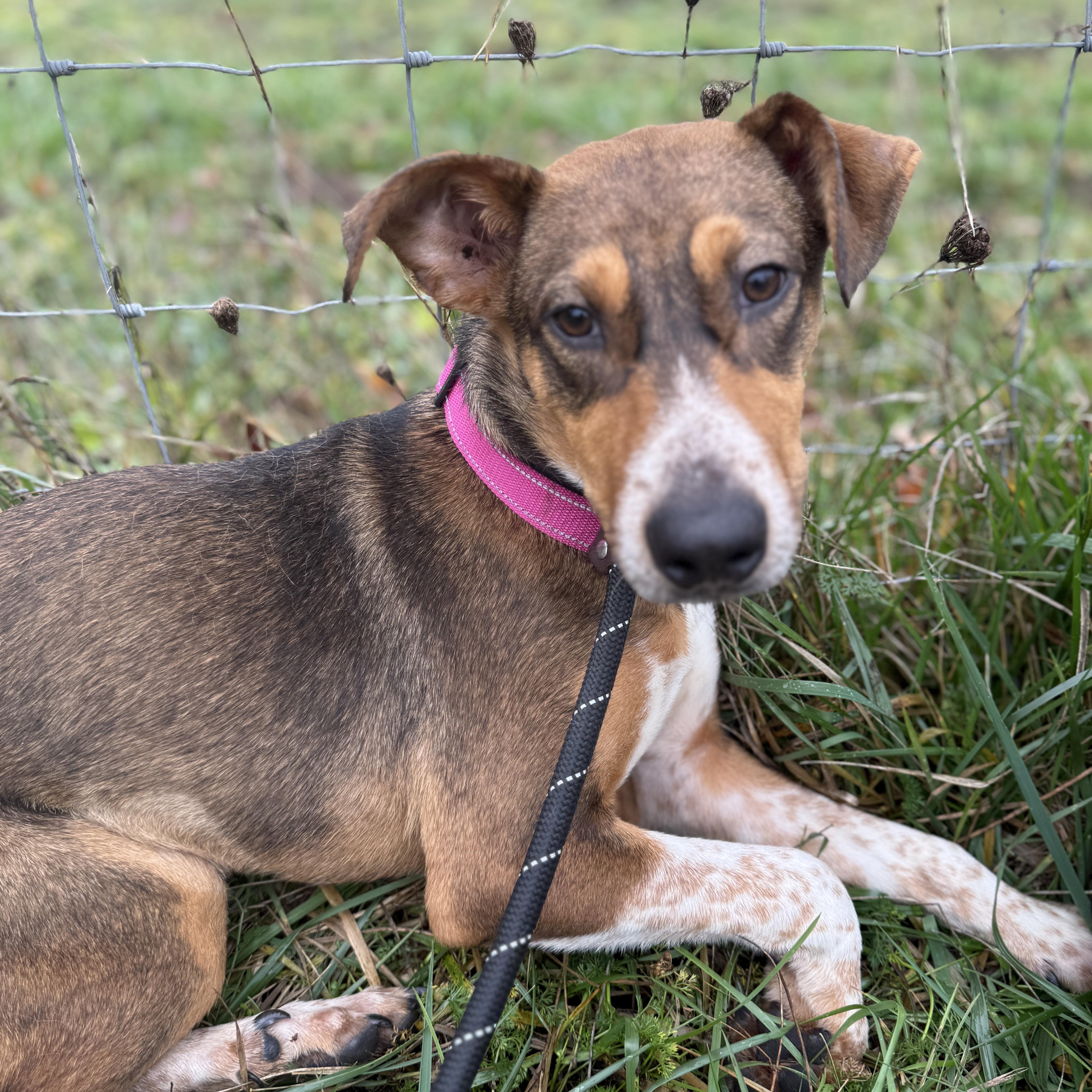 Penny — thumbnail 4