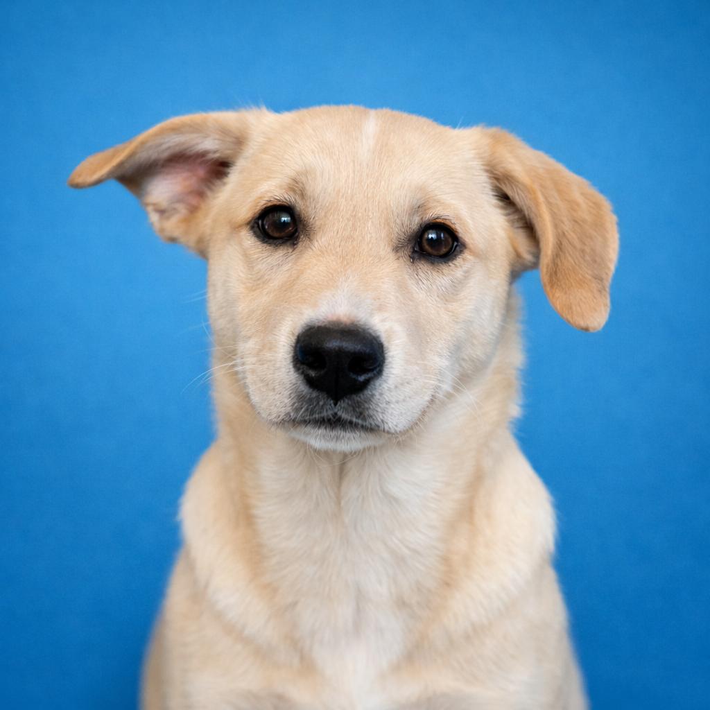 Cole — thumbnail 2