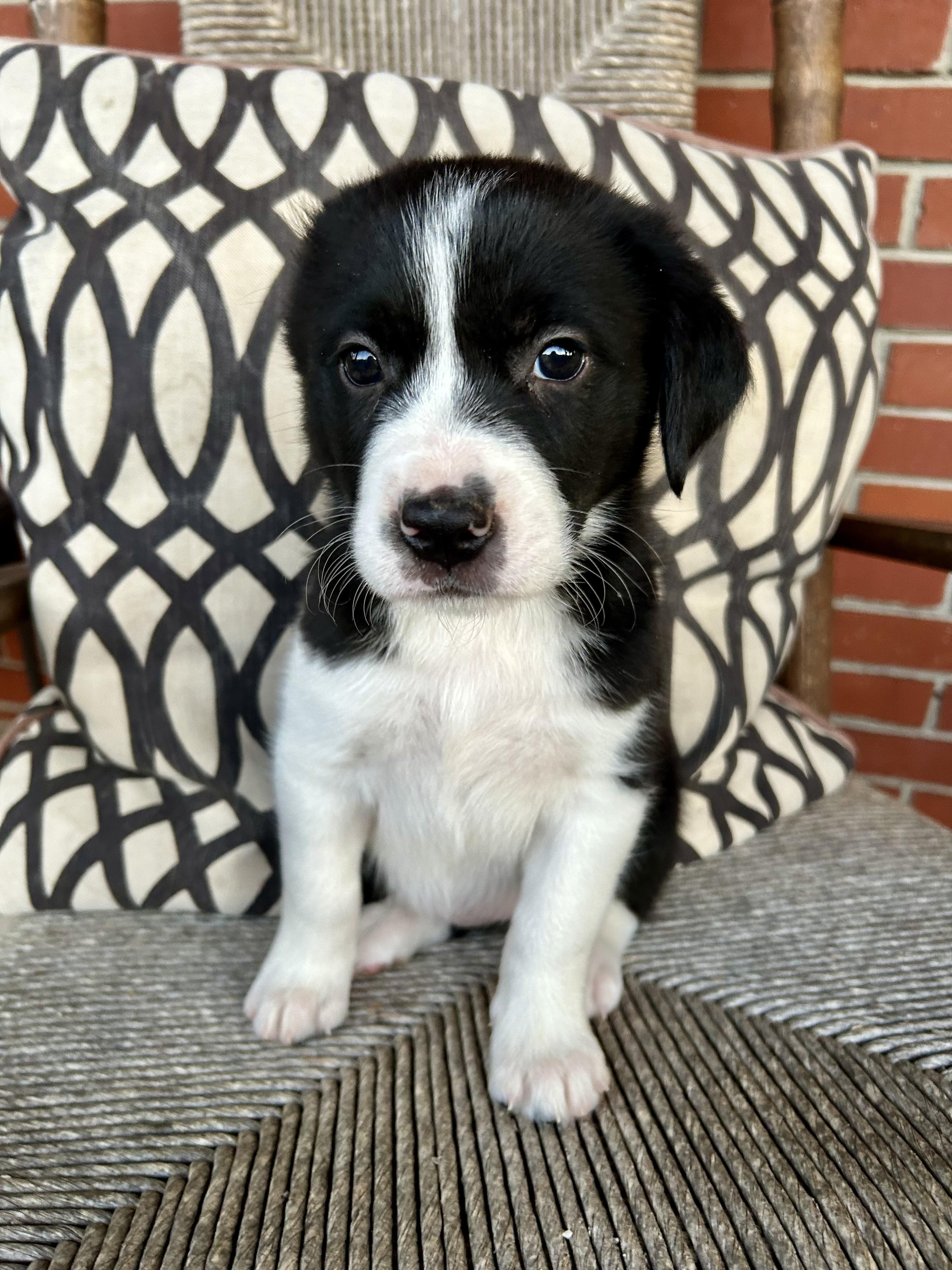 Hannah — thumbnail 2