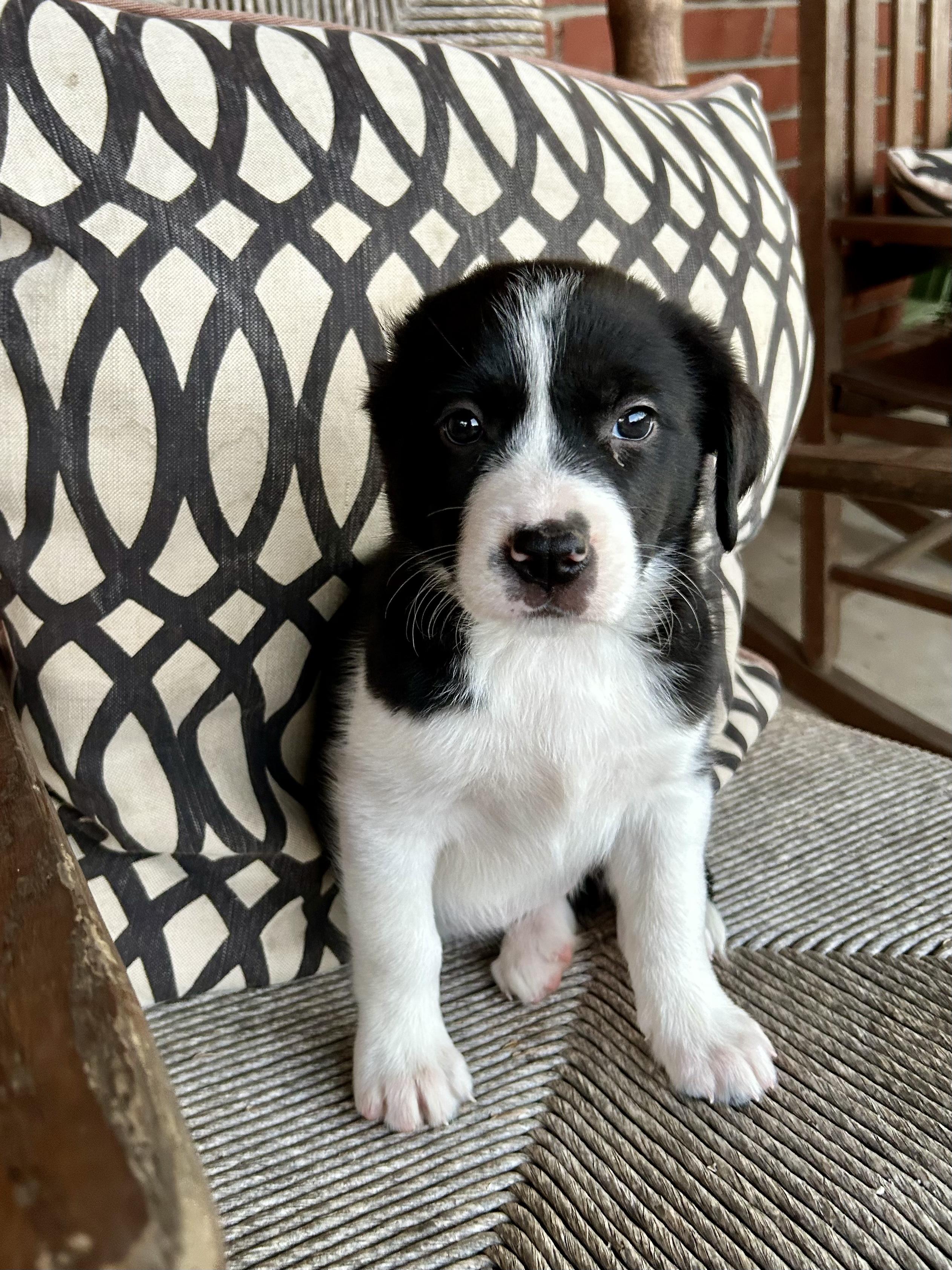 Hannah — thumbnail 3