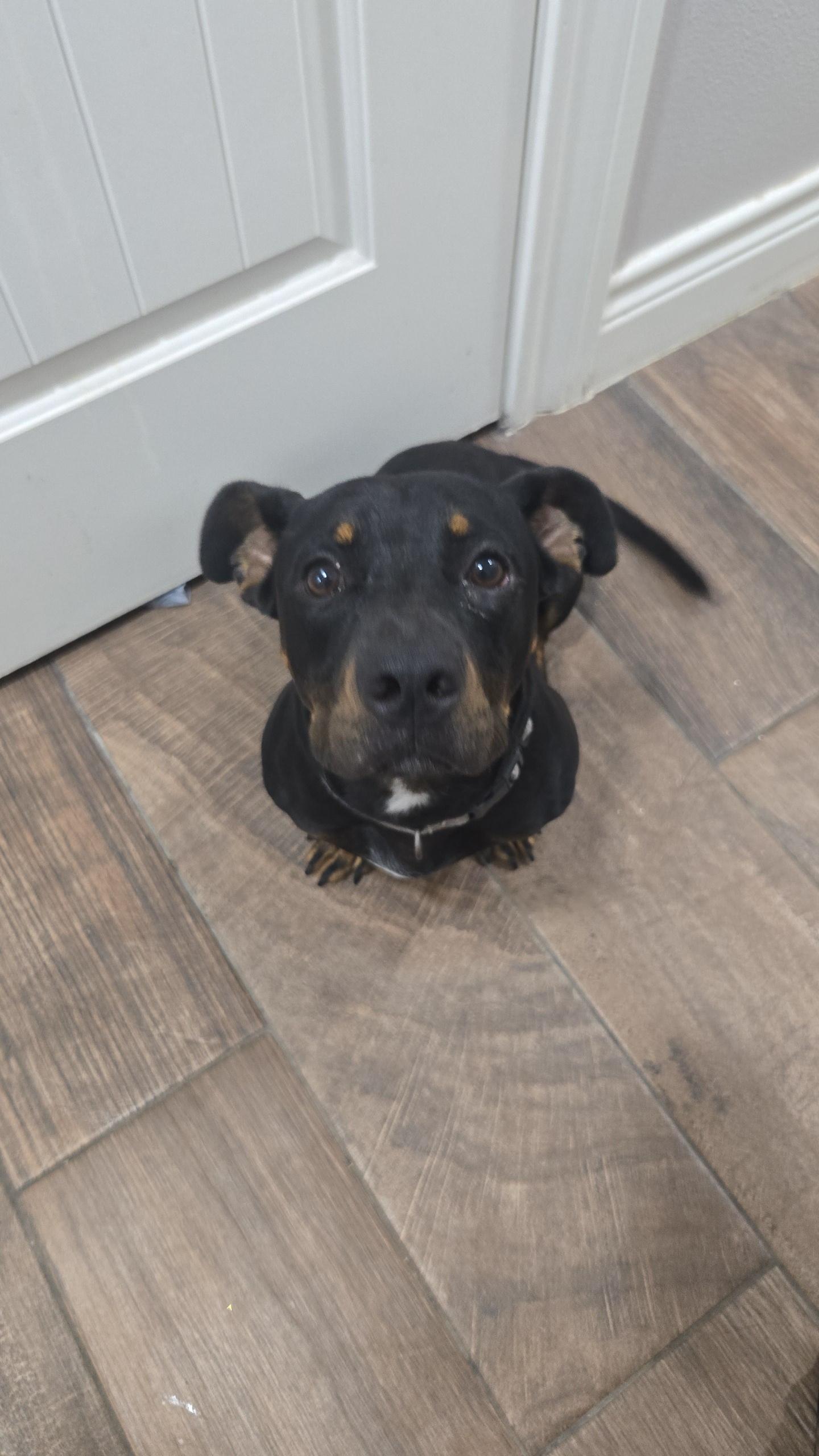 AXLE