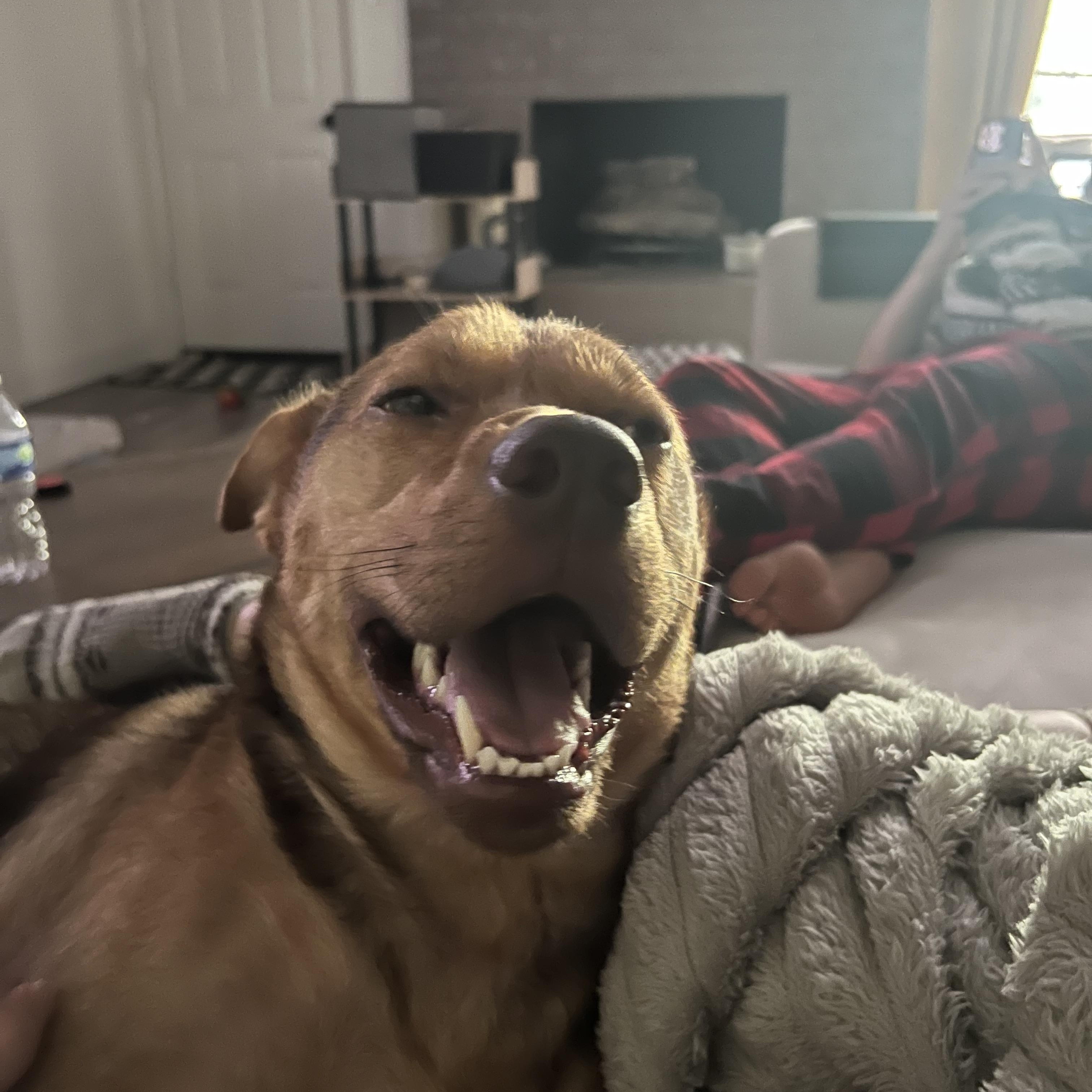 Murphy (Courtesy Listing)