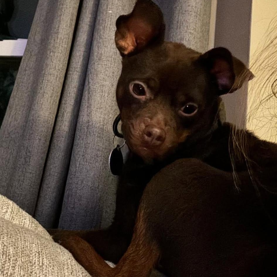 Chico Benjamin