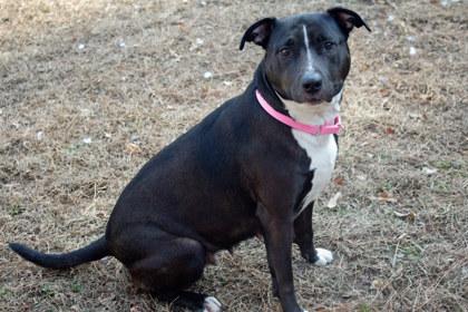 Bella FKA JUDY — thumbnail 2