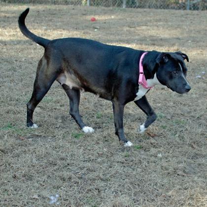 Bella FKA JUDY — thumbnail 3