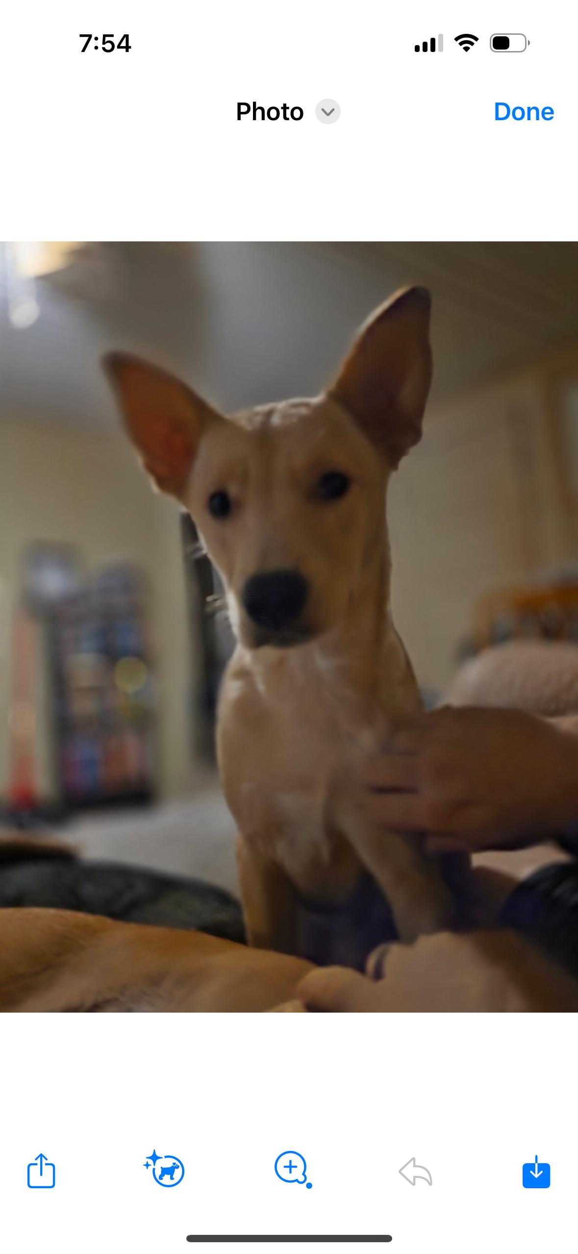 Sam thumbnail 2