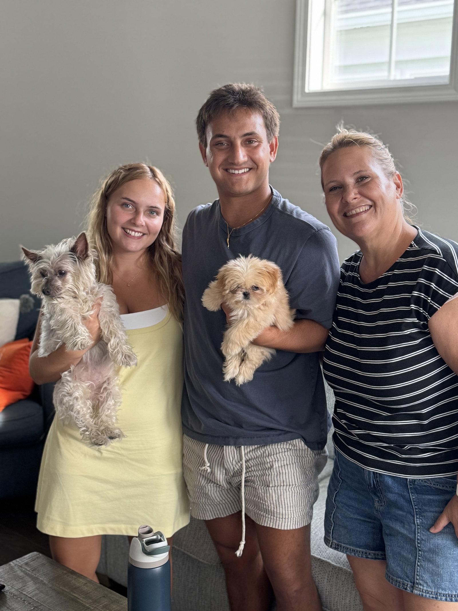 Enlarge Winnie Apr 26 - Dazzle Pup, a Adopted Pekingese in Pacolet, SC image 3/3