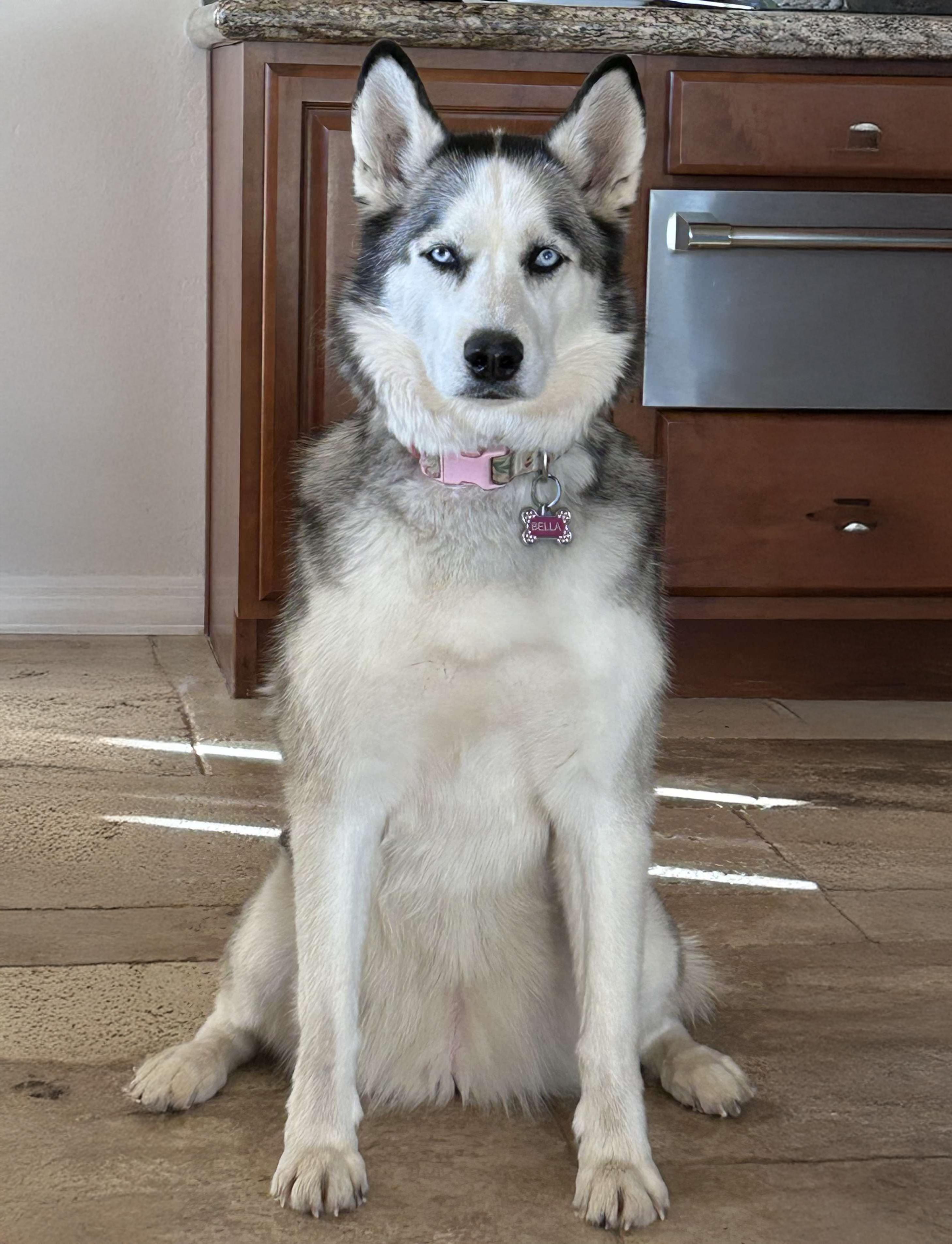 Bella photo 4