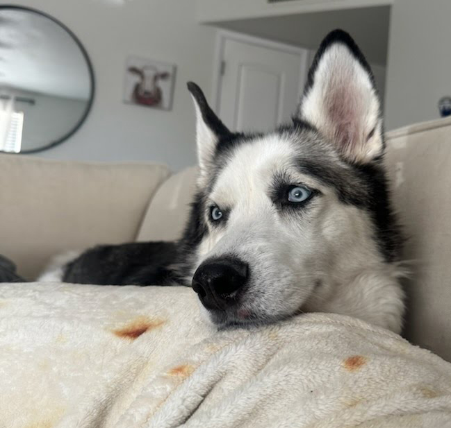 Bella photo 2