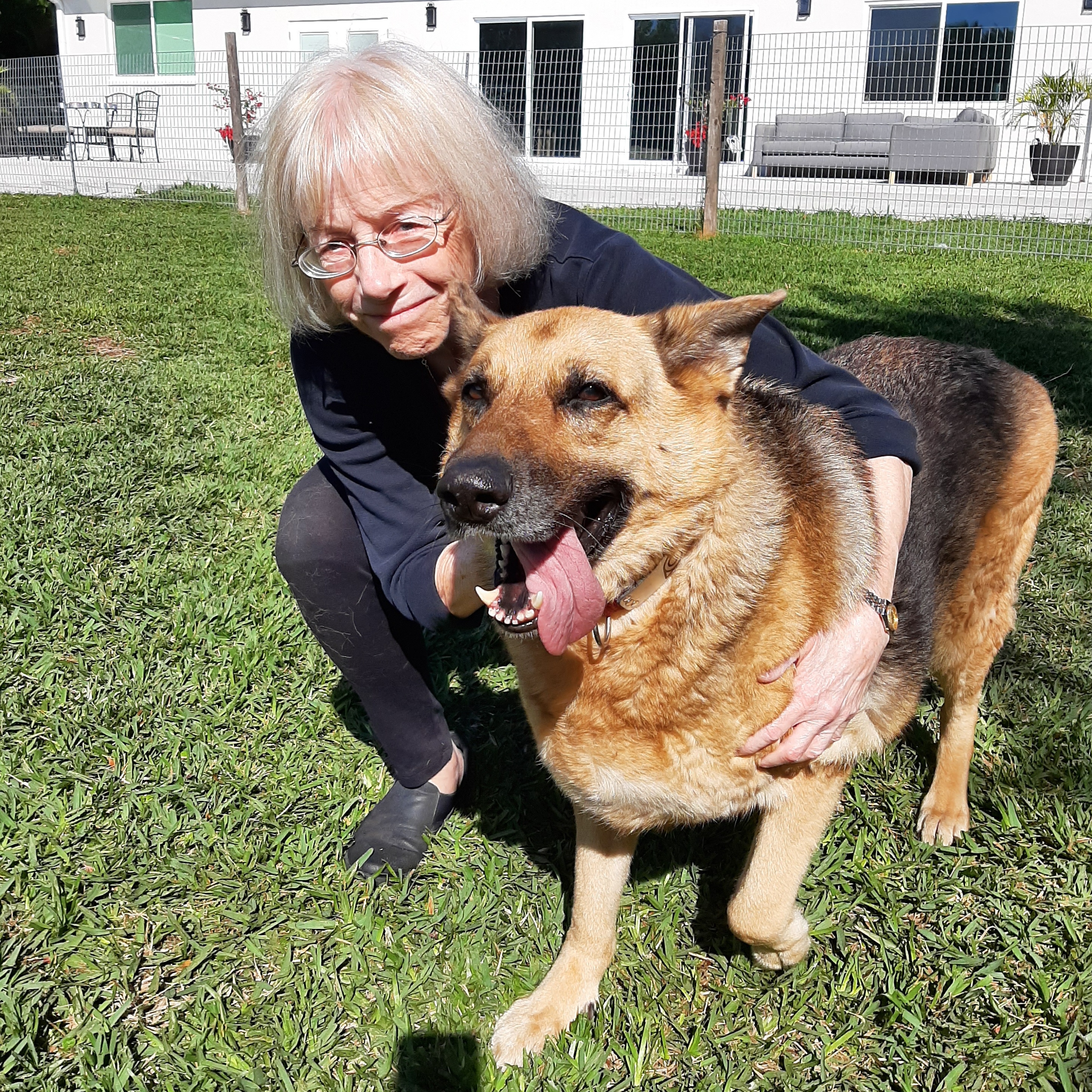 Enlarge Cheyenne, a Adopted German Shepherd Dog in Bradenton, FL image 3/6