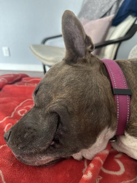 Angel — thumbnail 2