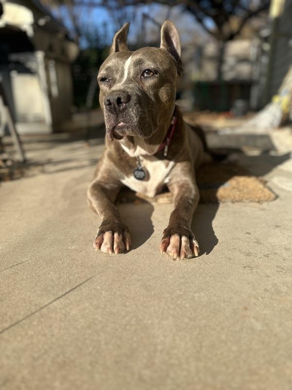 Angel — thumbnail 3