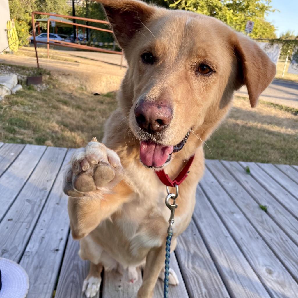 Anton — thumbnail 3