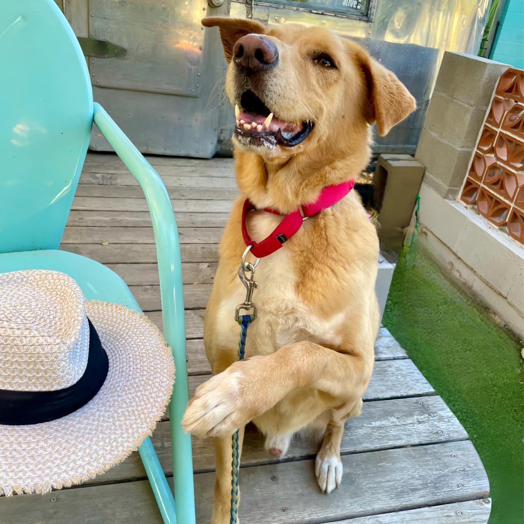 Anton — thumbnail 6