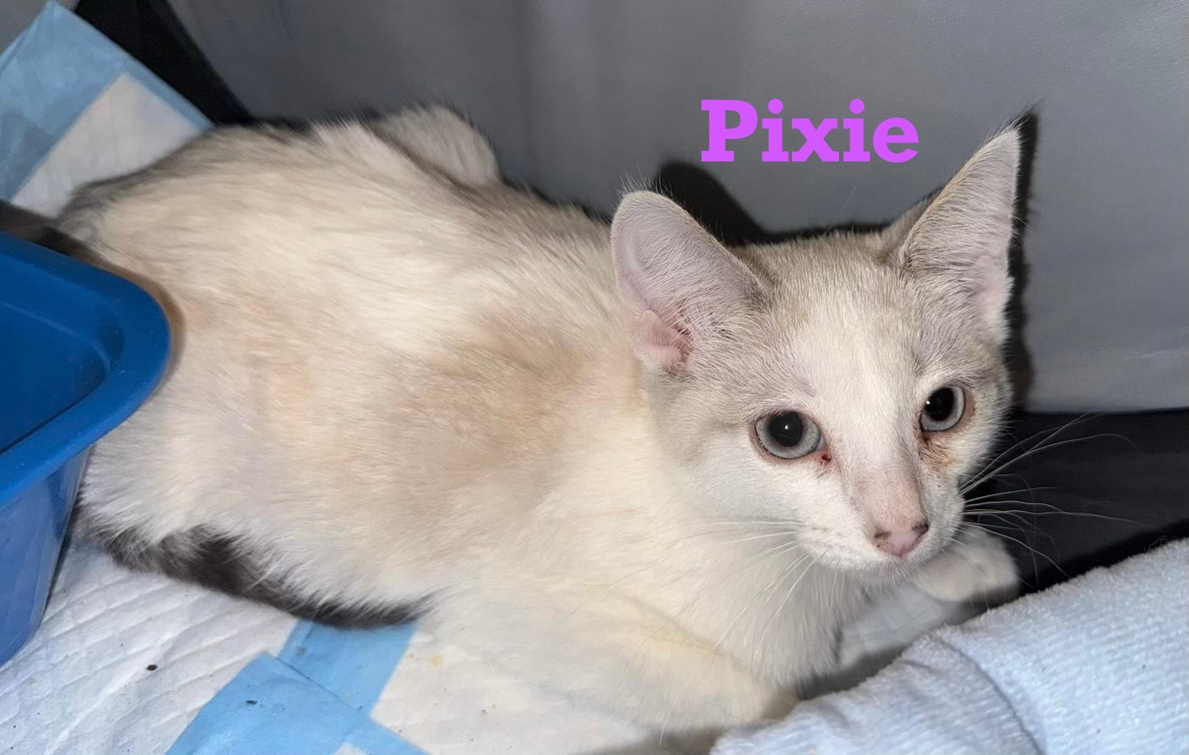 Pixie