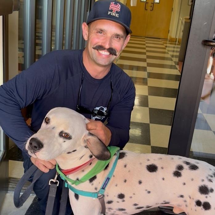 Enlarge Dillon, a Adoptable Dalmatian in Sonoma, CA image 5/6