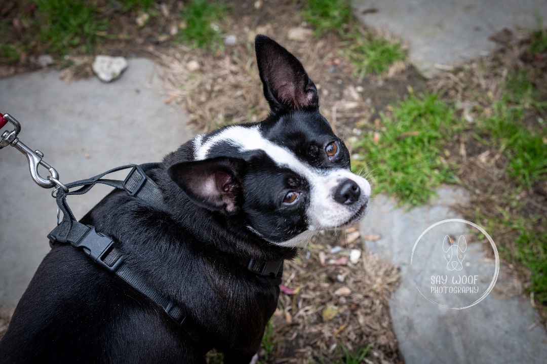 Sally photo 4