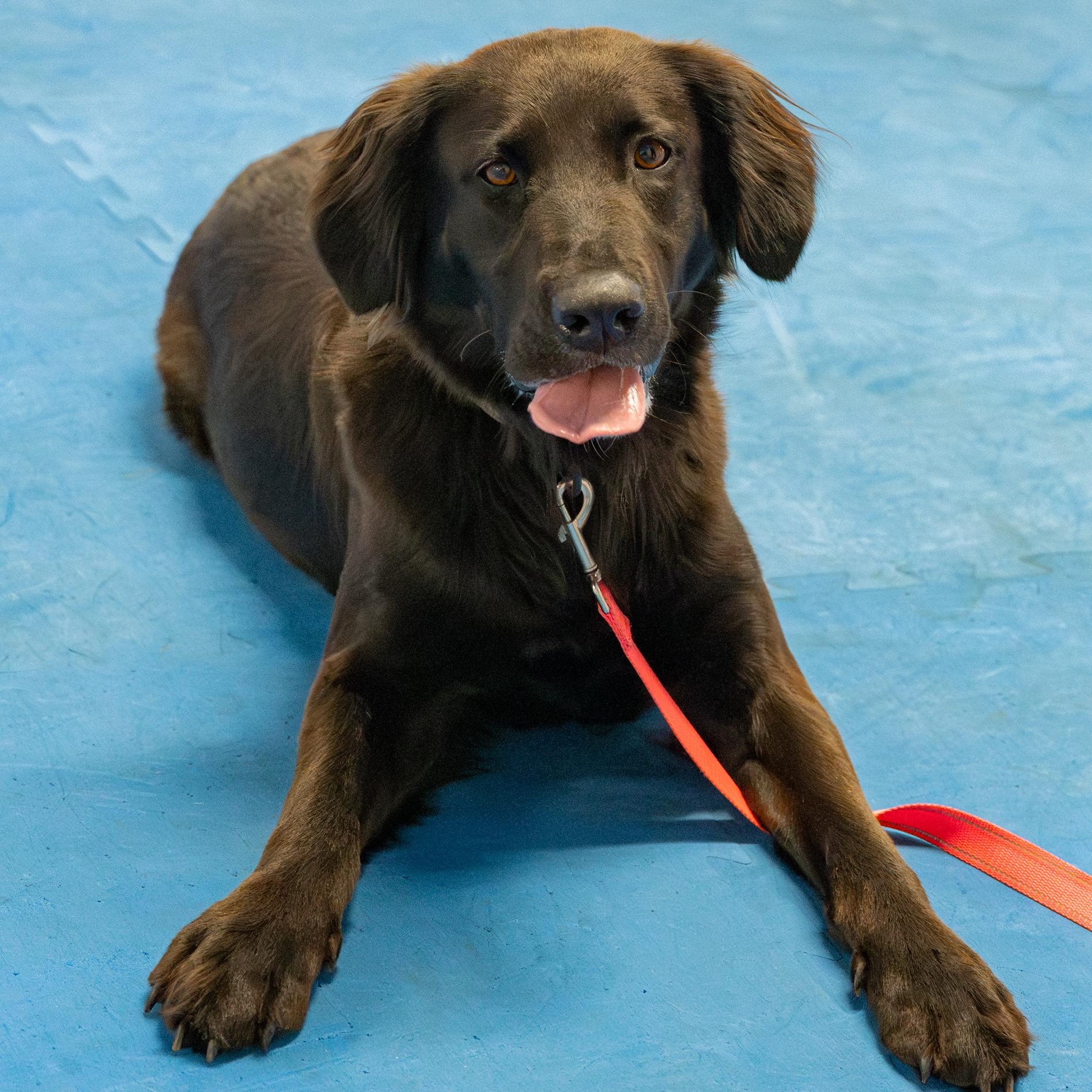 Naomi (Available in Florida)