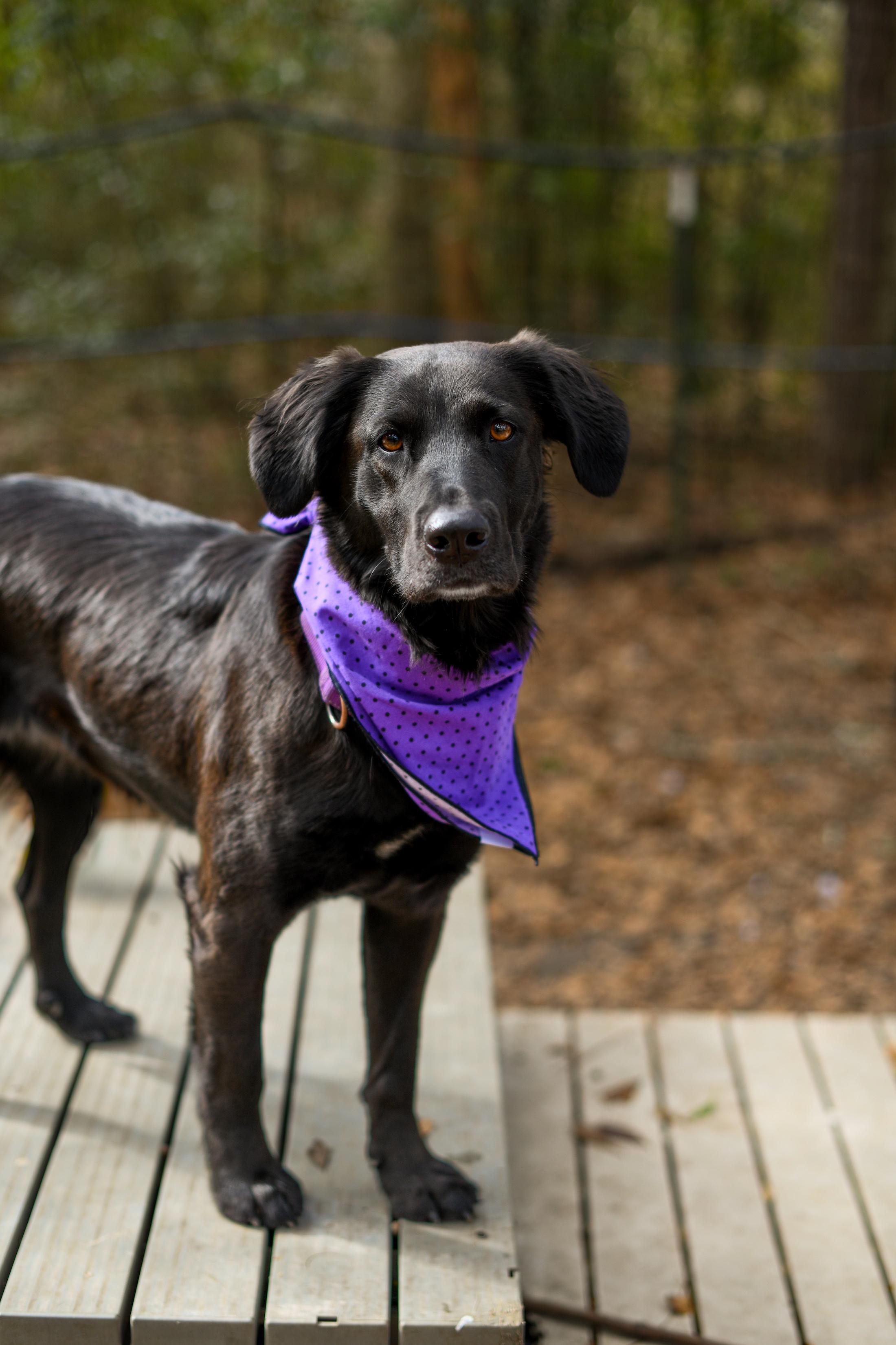 Naomi (Available in Florida) 2