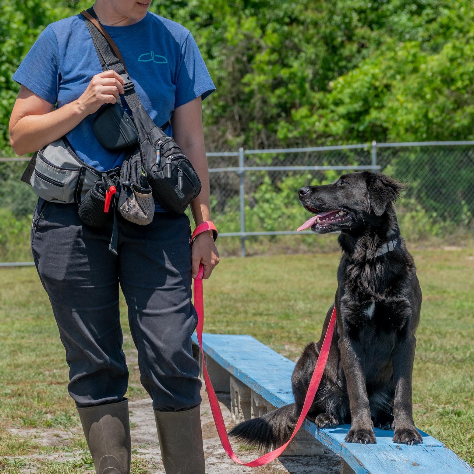 Naomi (Available in Florida) 3