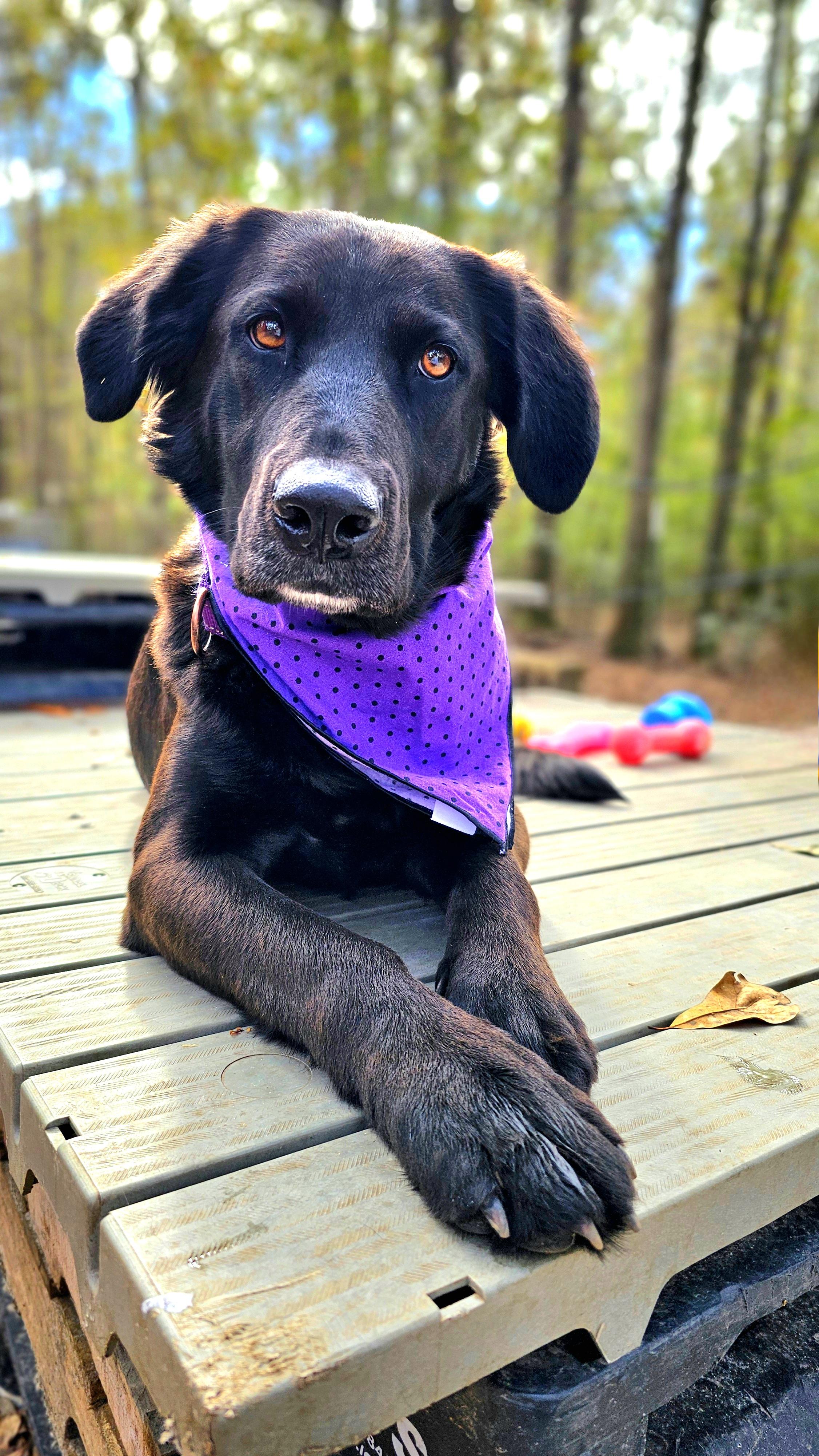 Naomi (Available in Florida) 4