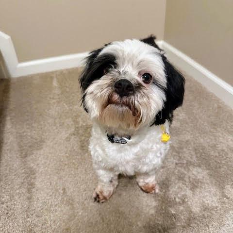 Alvin — thumbnail 6